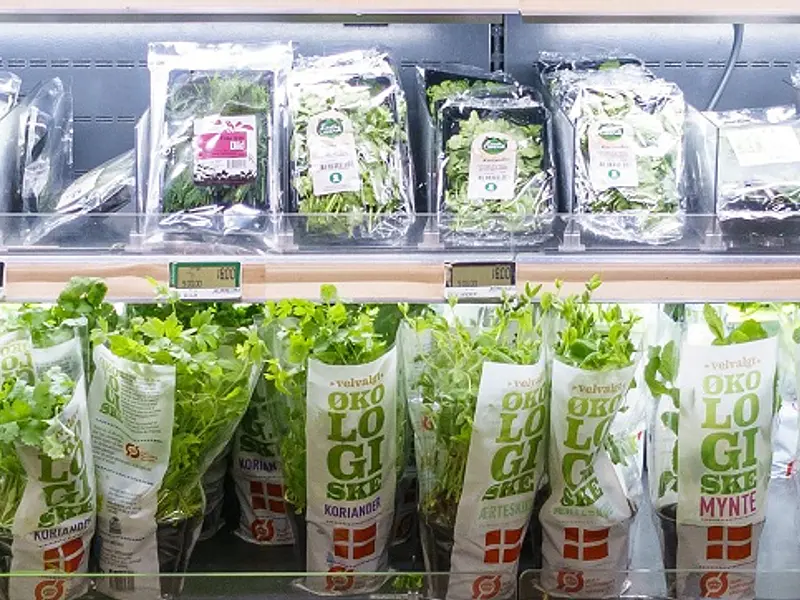 Productos y Servicios