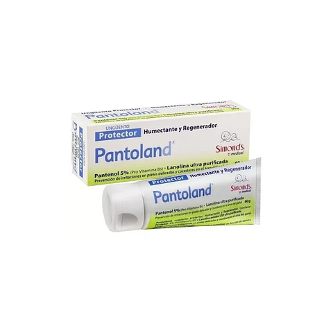 Pantoland ungüento Protector Pomo 60 -  Simonds
