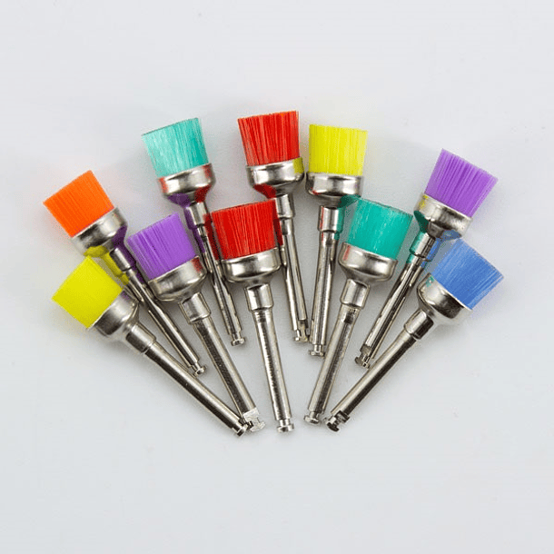 ESCOBILLAS COLORES X10 UNDS 