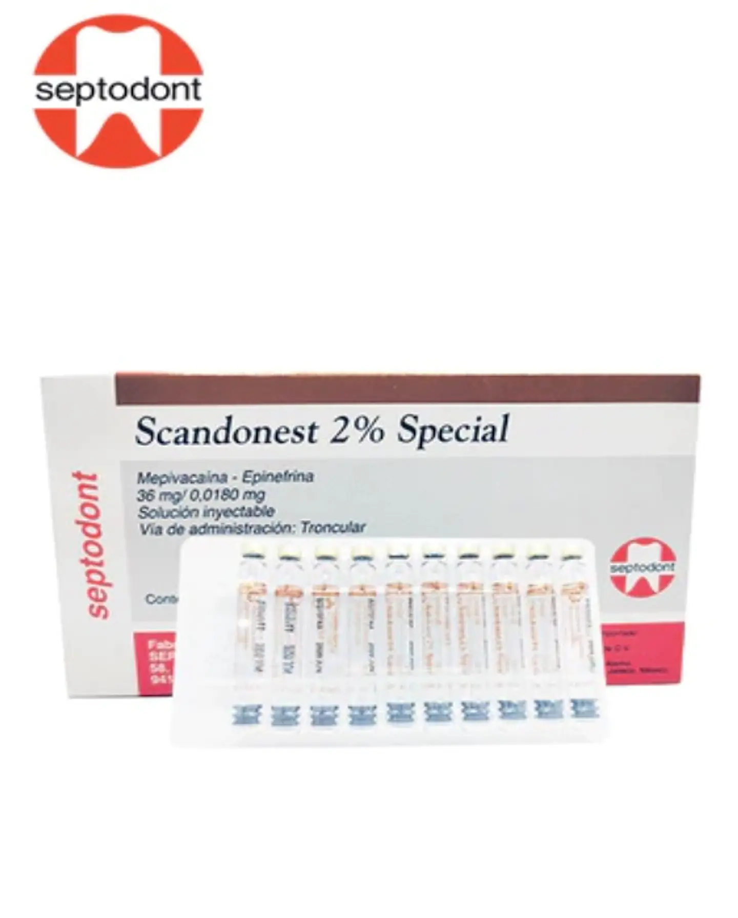 ANESTESIA 2% SCANDONEST SEPTODONT 1