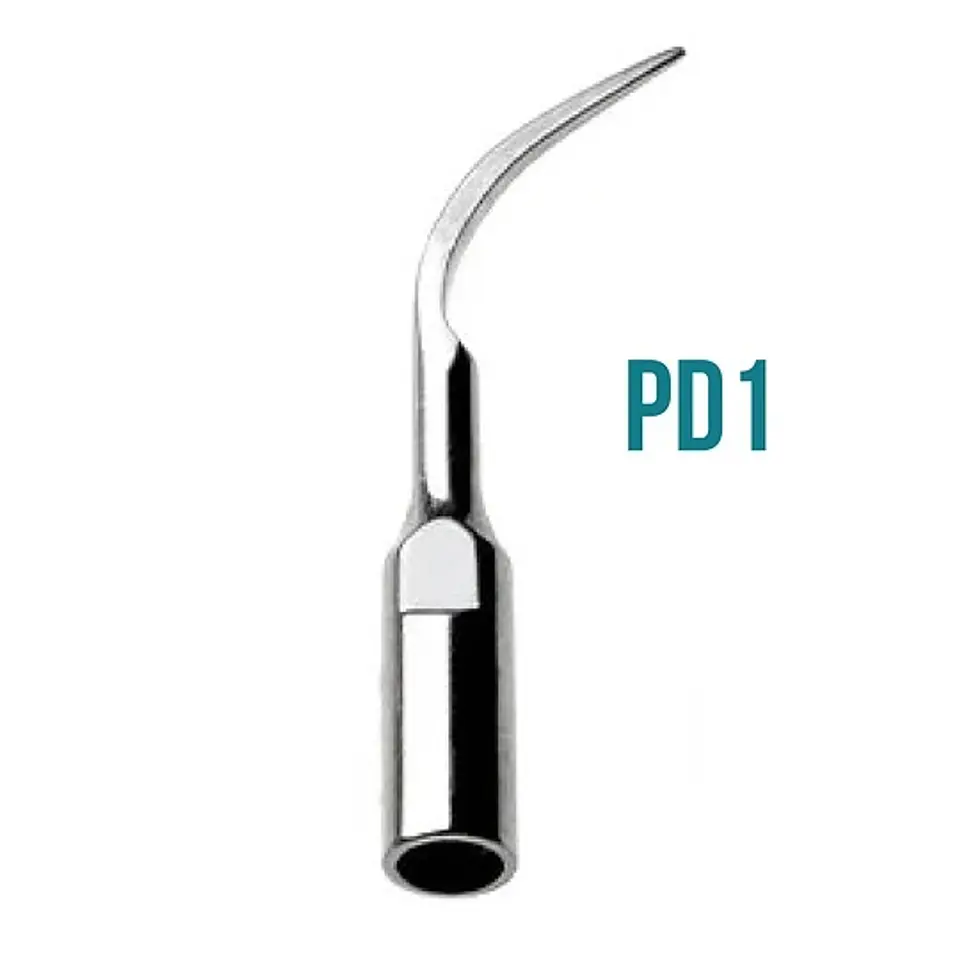 PUNTA DTE PD1 1
