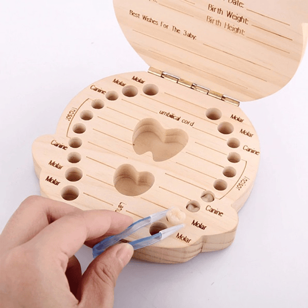 ORGANIZADOR PARA DIENTES DE LECHE 