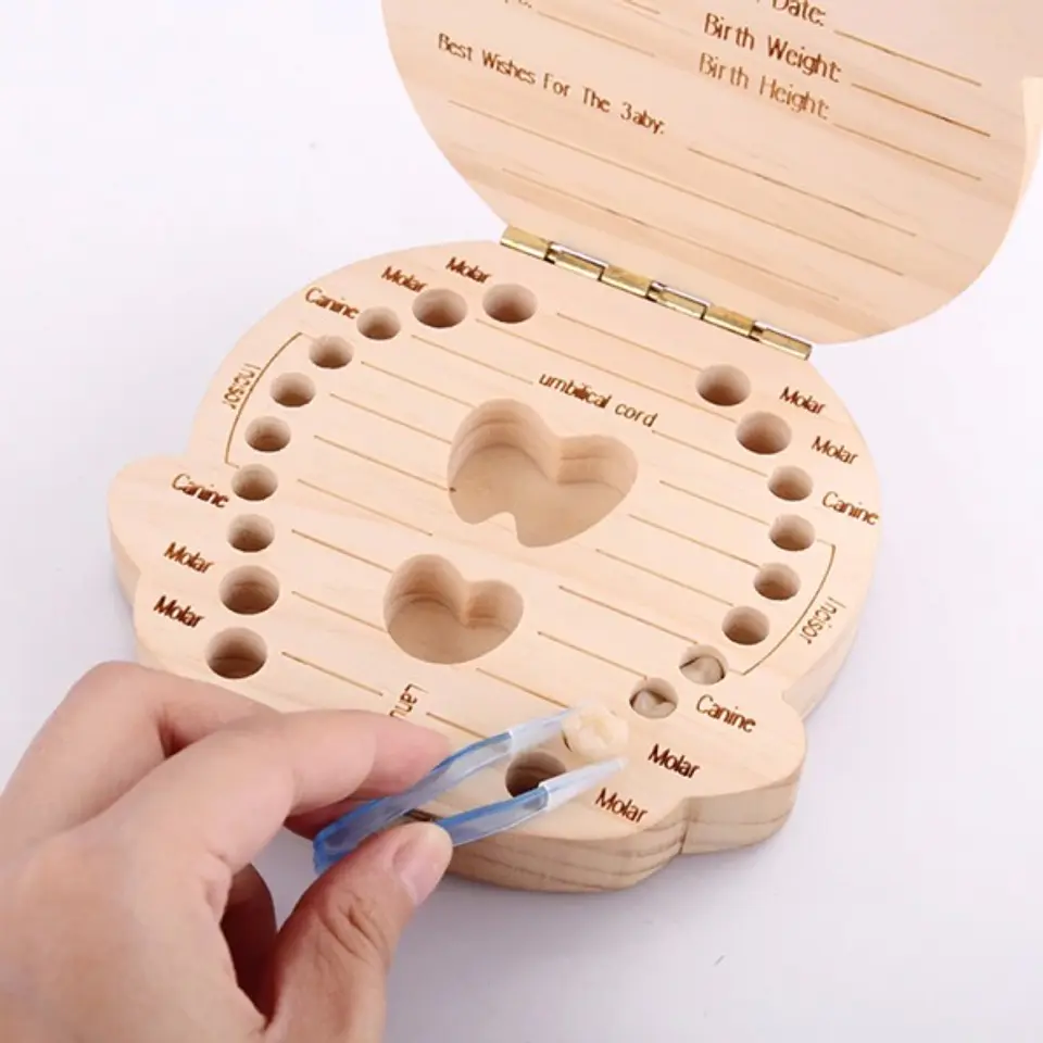 ORGANIZADOR PARA DIENTES DE LECHE 1