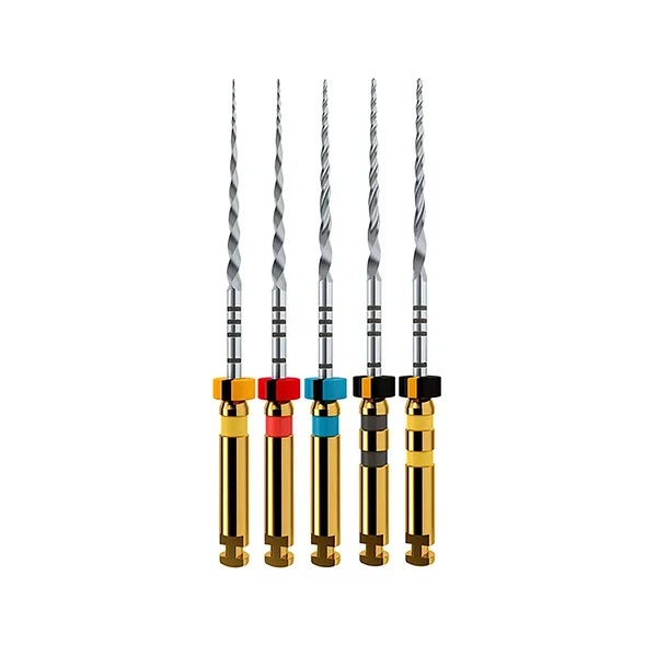 LIMA PROTAPER NEXT SURTIDA 31 MM