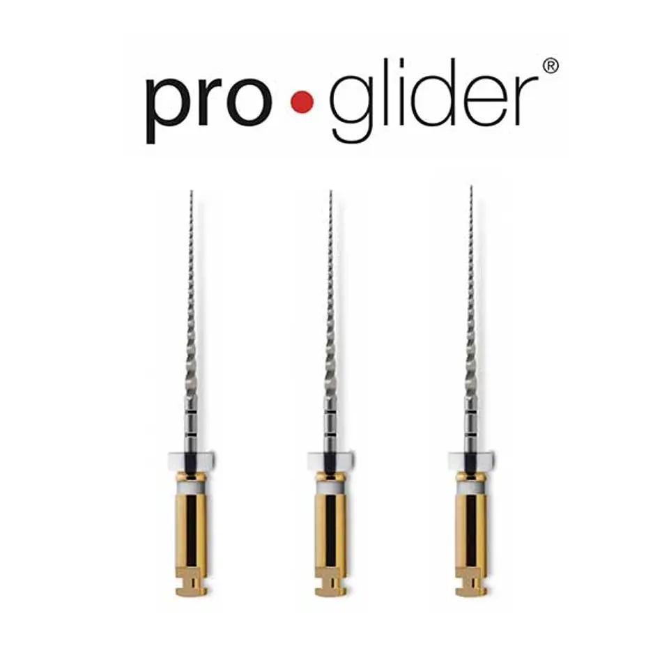 LIMA PROGLIDER MAILLEFER 1