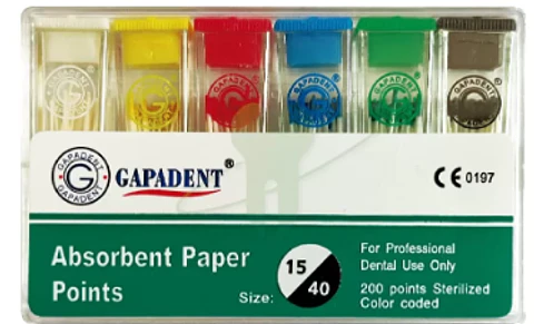 CONO DE PAPEL GAPADENT