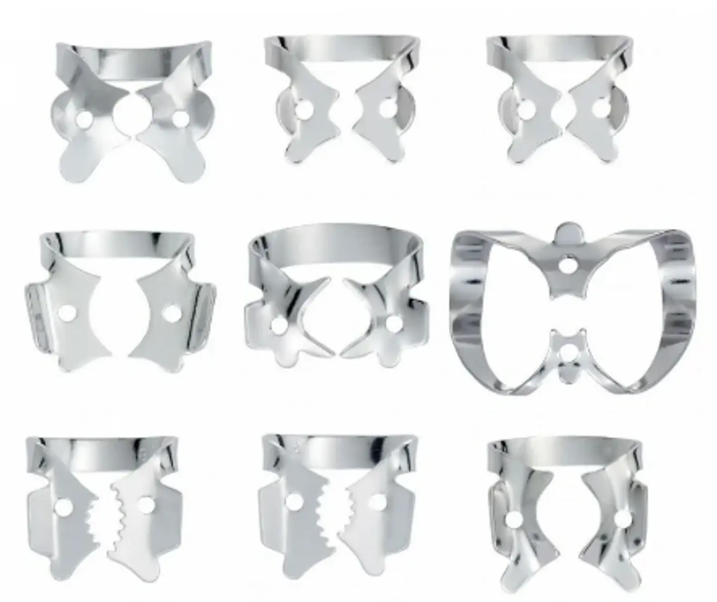 CLAMPS HYGENIC 1