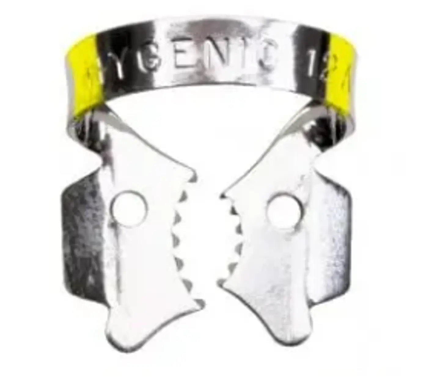 CLAMPS HYGENIC 4