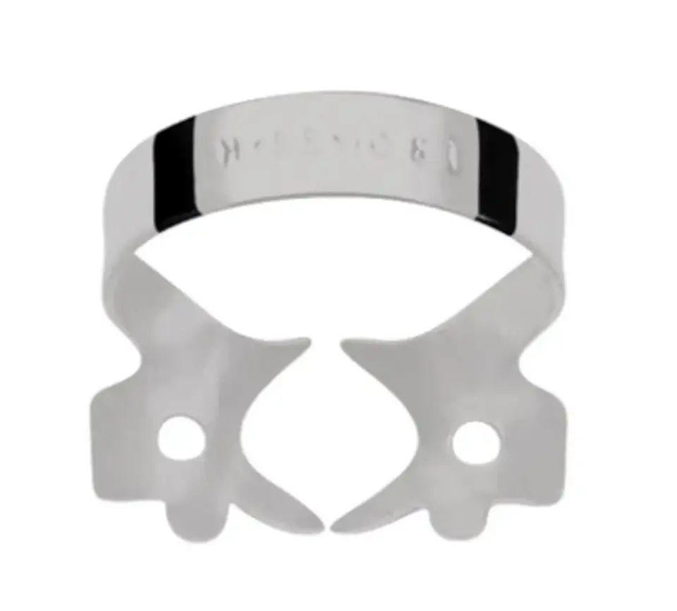 CLAMPS HYGENIC 10