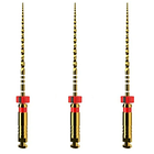 LIMA PROTAPER ULTIMATE 25MM DENTSPLY 3