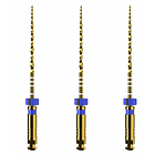 LIMA PROTAPER ULTIMATE 25MM DENTSPLY 4