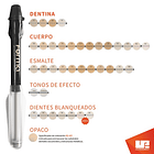 COMPOSITE FORMA ULTRADENT 2