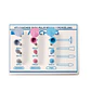 KIT CAUCHOS PULIR RESINA Y PORCELANA MACHTIG - Miniatura 1