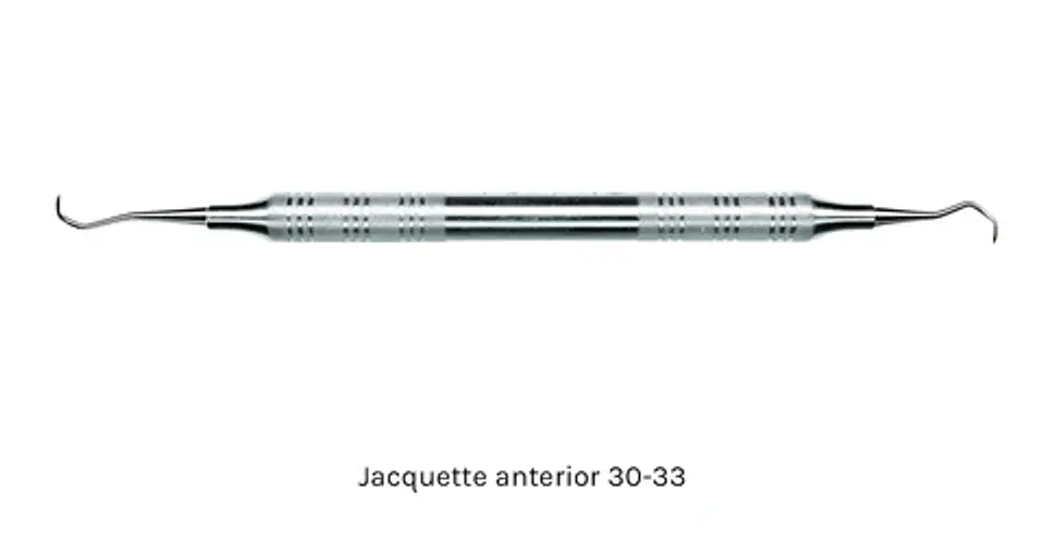 JAQUETTE AMERICAN EAGLE 1