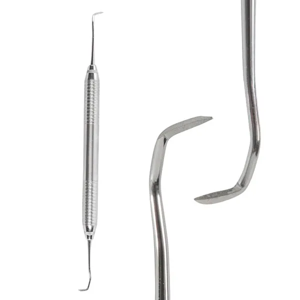 JAQUETTE DENTINE