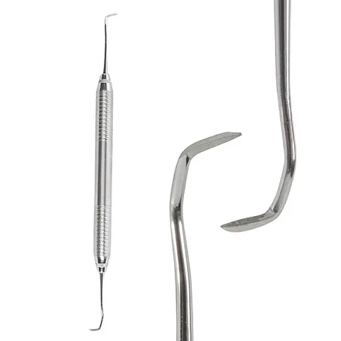 JAQUETTE DENTINE