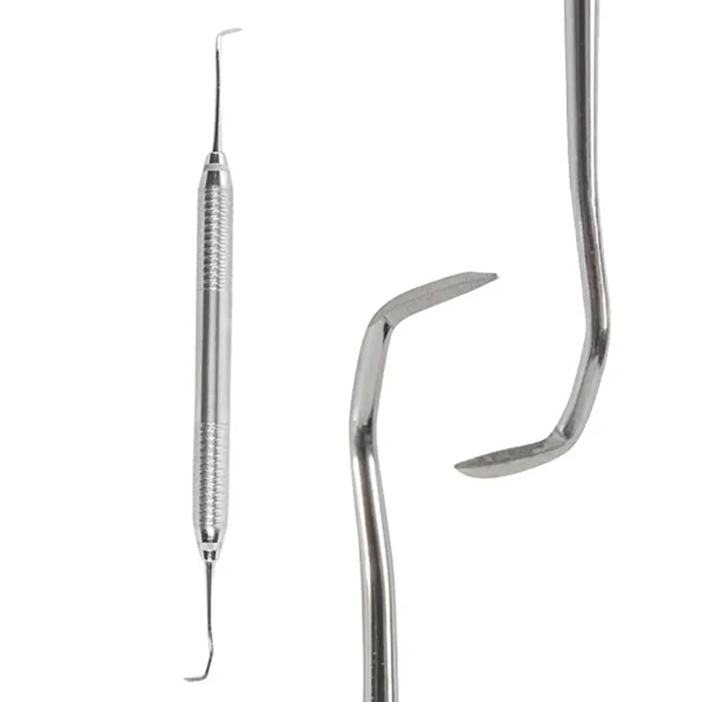 JAQUETTE DENTINE 1