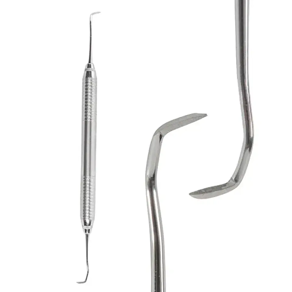 JAQUETTE DENTINE 1