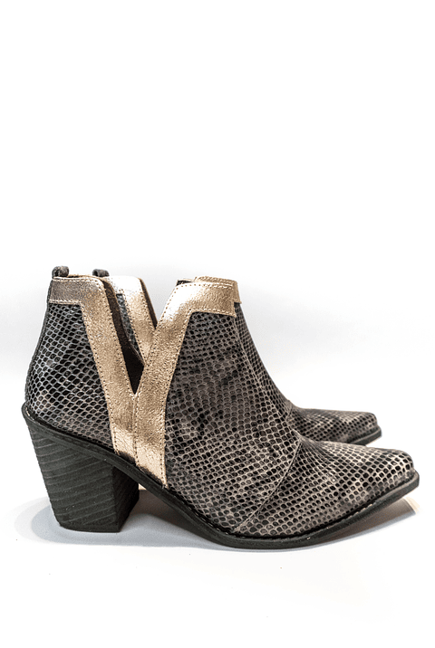 Mia Pitón Gris con Dorado