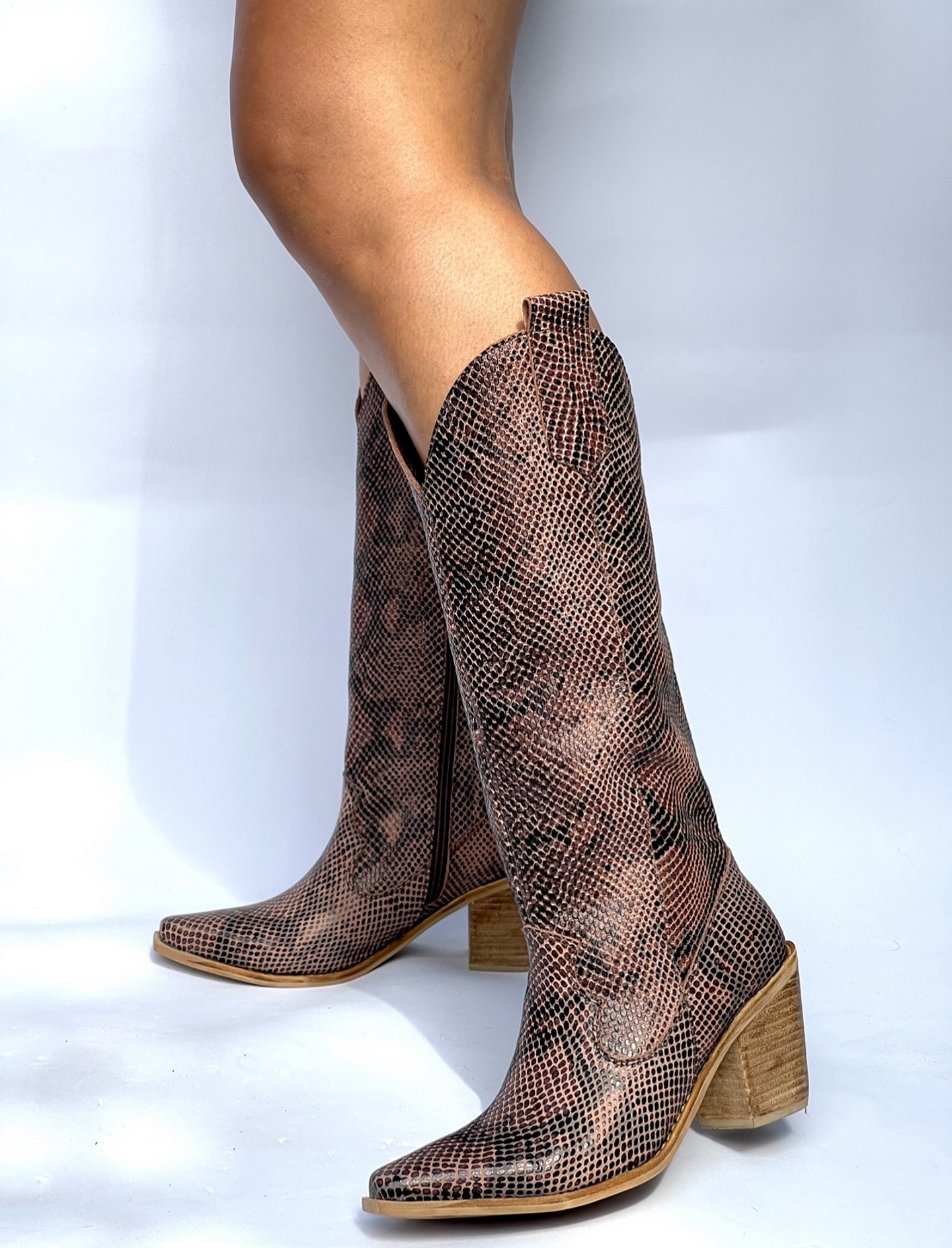 Arizona Pitón Café  2