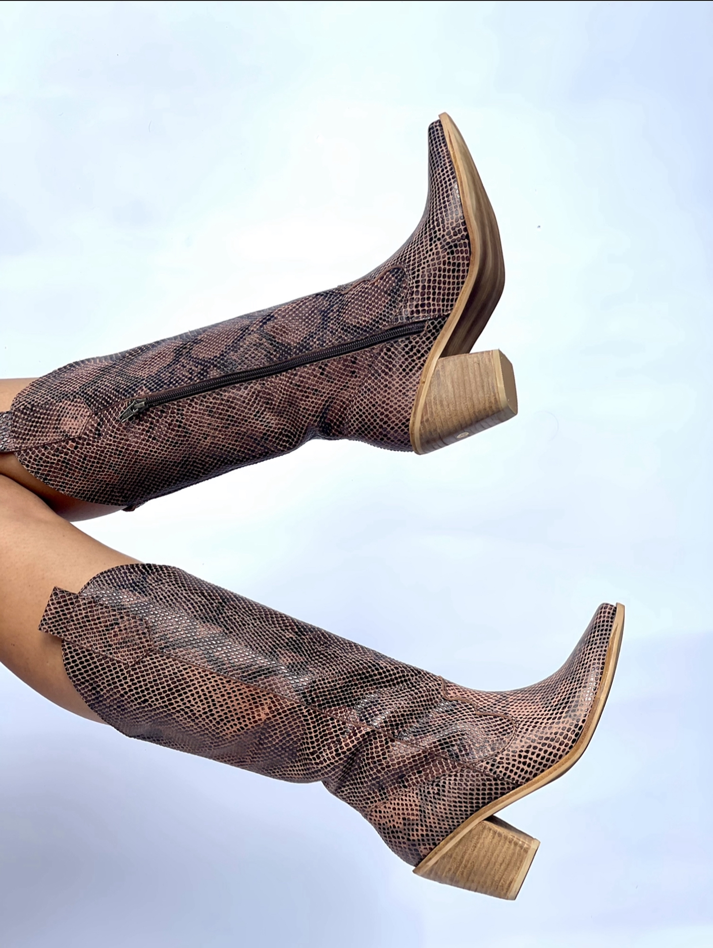 Arizona Pitón Café  3