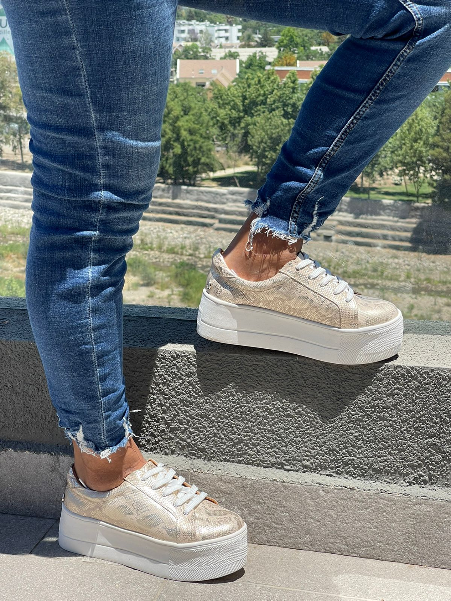 Miami Folia Dorada 1