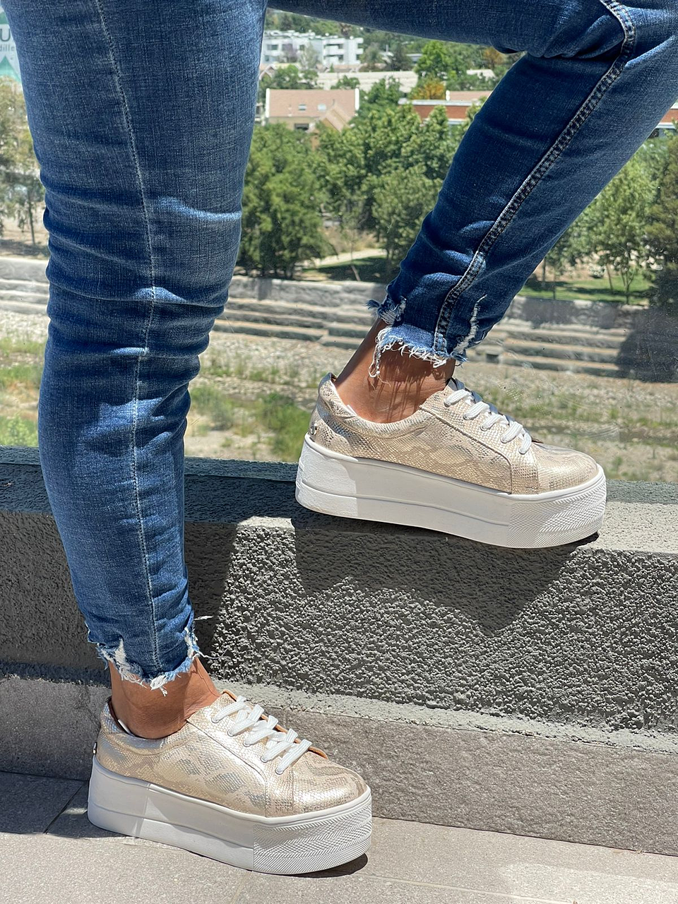 Miami Folia Dorada 1