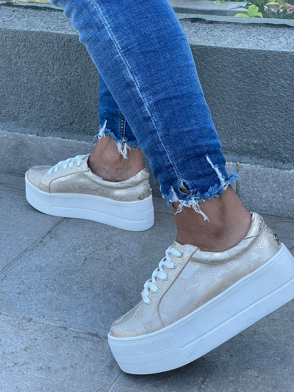 Miami Folia Dorada 3