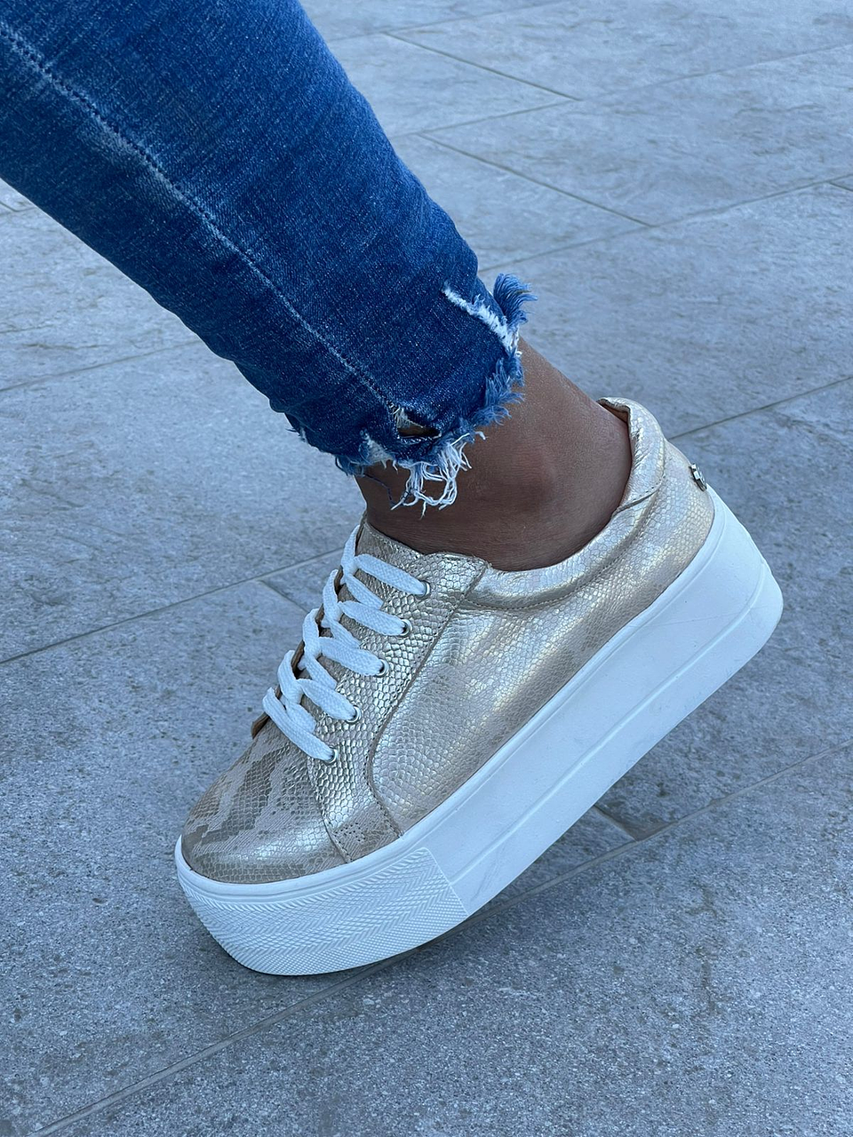 Miami Folia Dorada 4