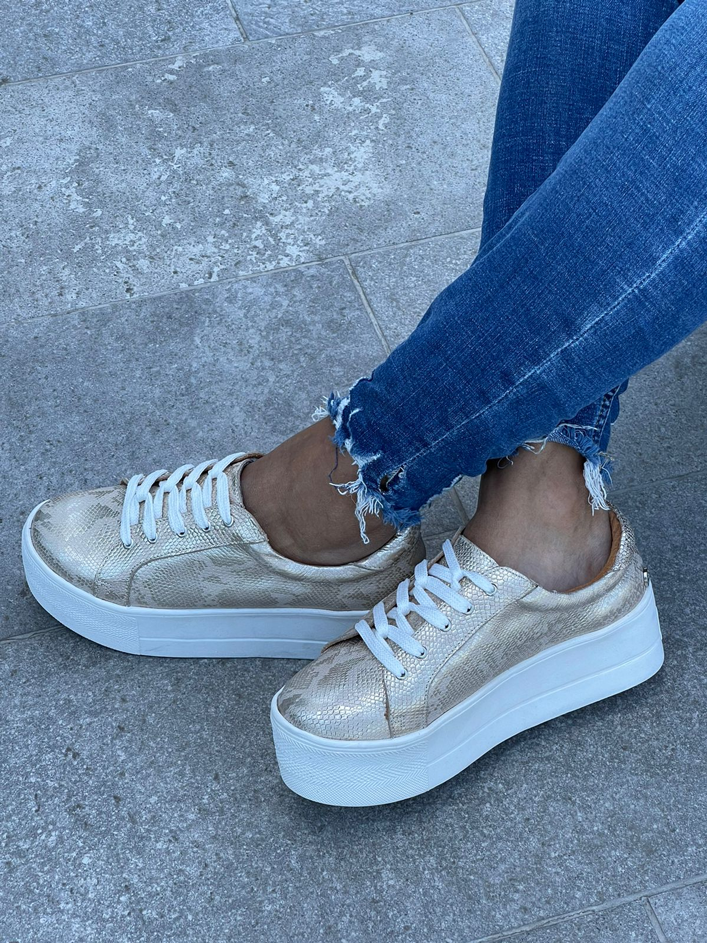 Miami Folia Dorada 5