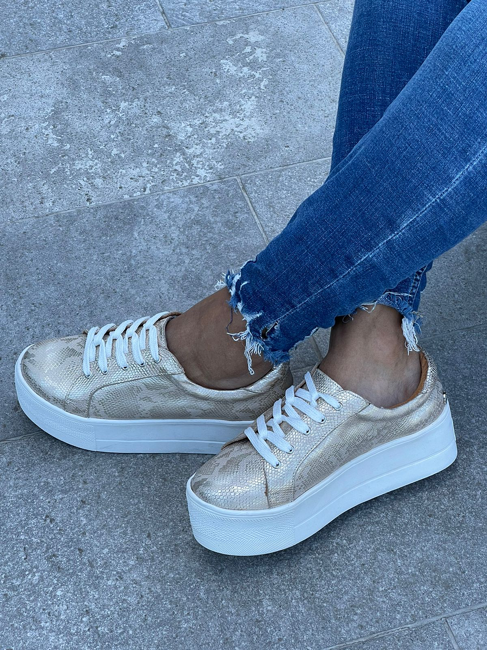 Miami Folia Dorada 5