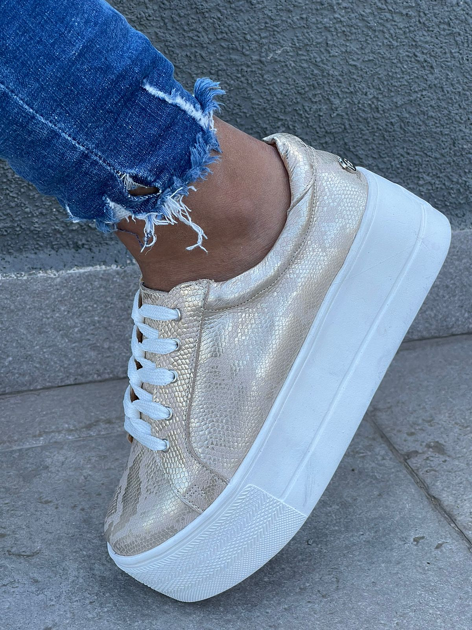 Miami Folia Dorada 6