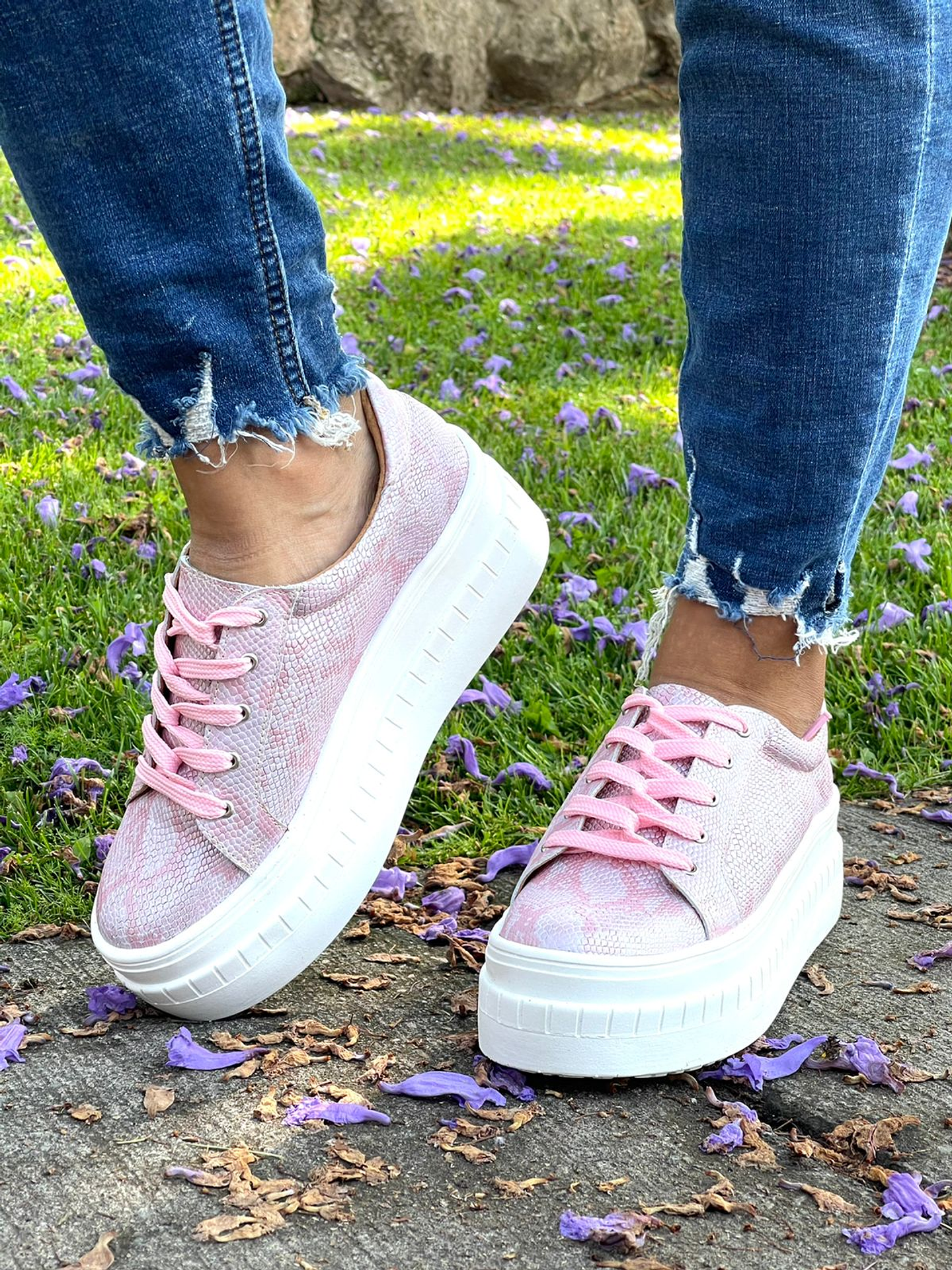 Miami Pitón Rosado 3