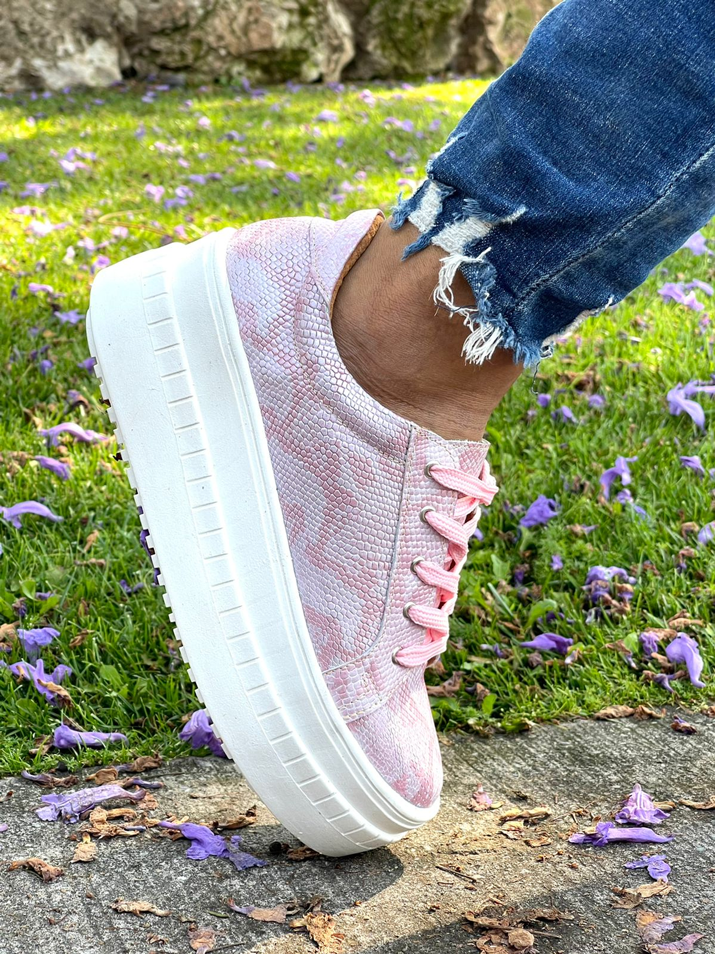 Miami Pitón Rosado 6