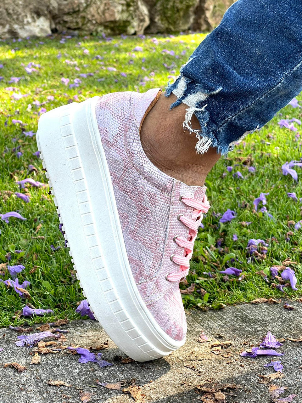 Miami Pitón Rosado 6