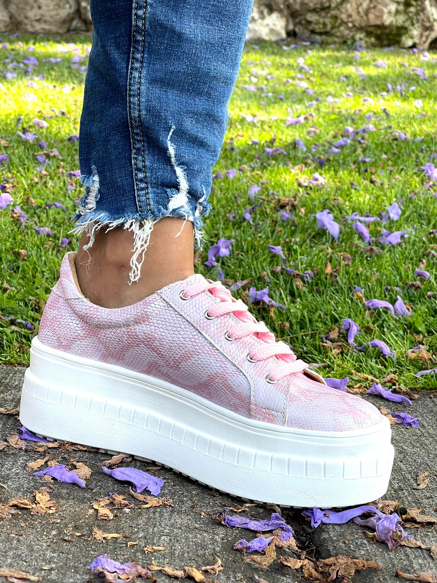 Miami Pitón Rosado 4