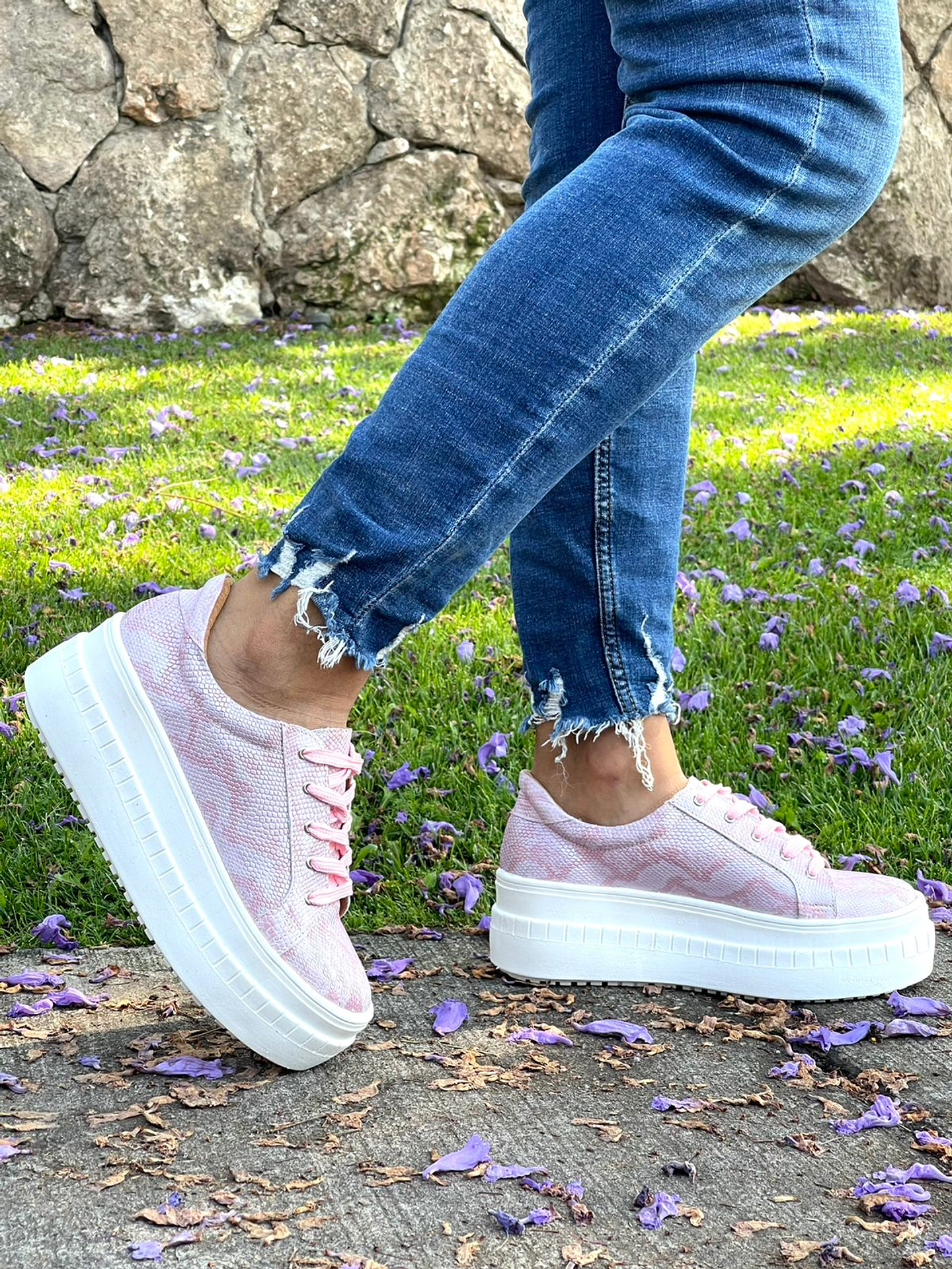 Miami Pitón Rosado 5