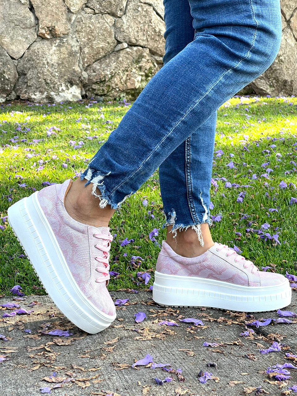 Miami Pitón Rosado 5