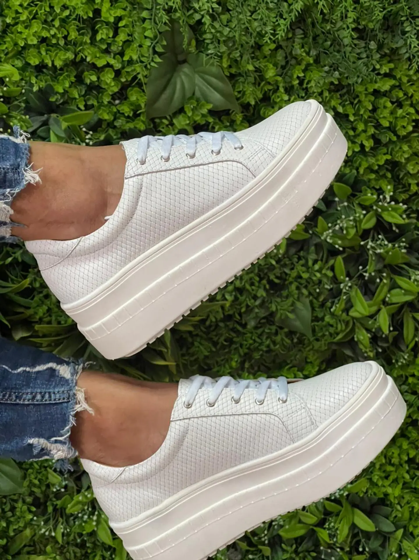 Miami Croco Blanca 4