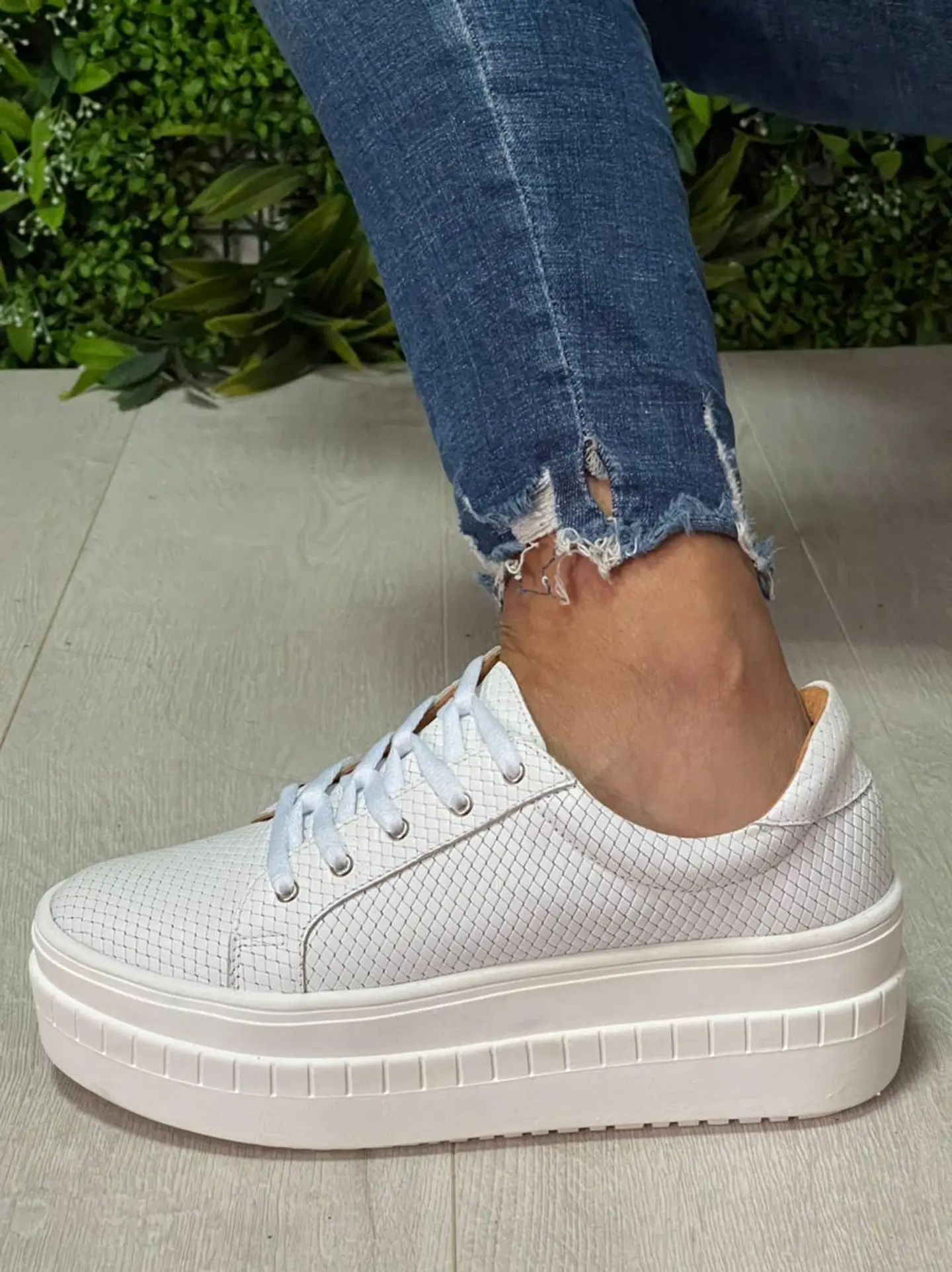 Miami Croco Blanca 5