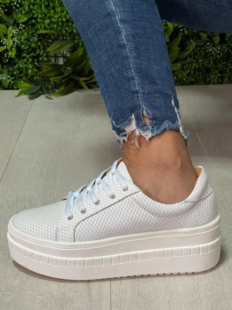 Miami Croco Blanca 5