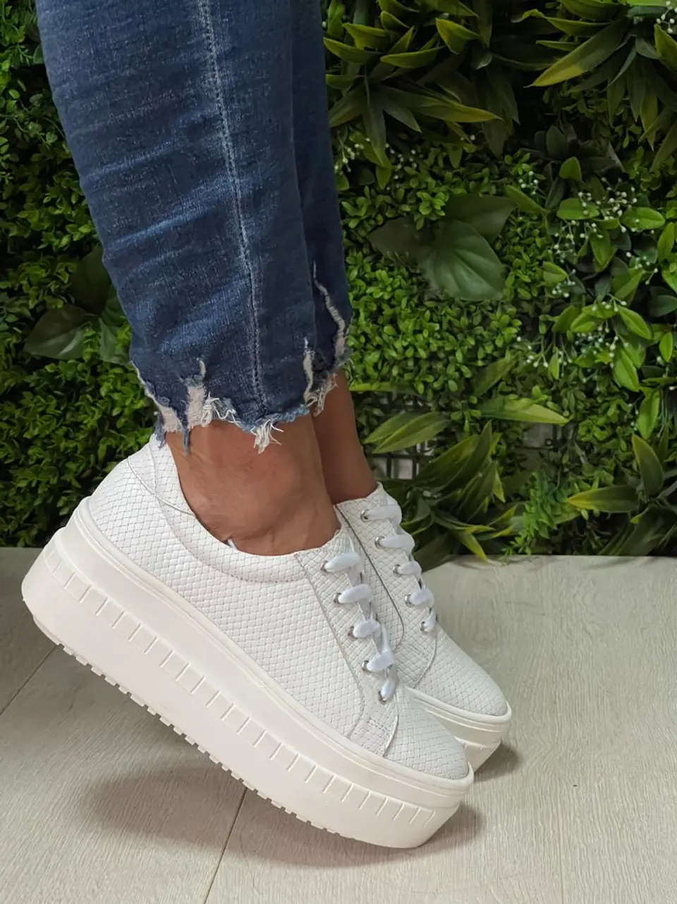 Miami Croco Blanca 3