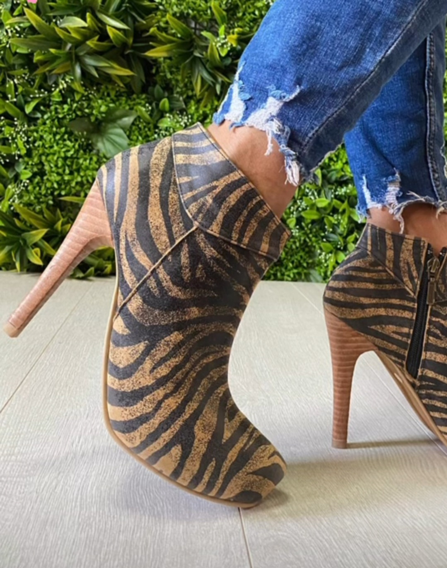 Flo Cebra Cafe Planta Natural 1