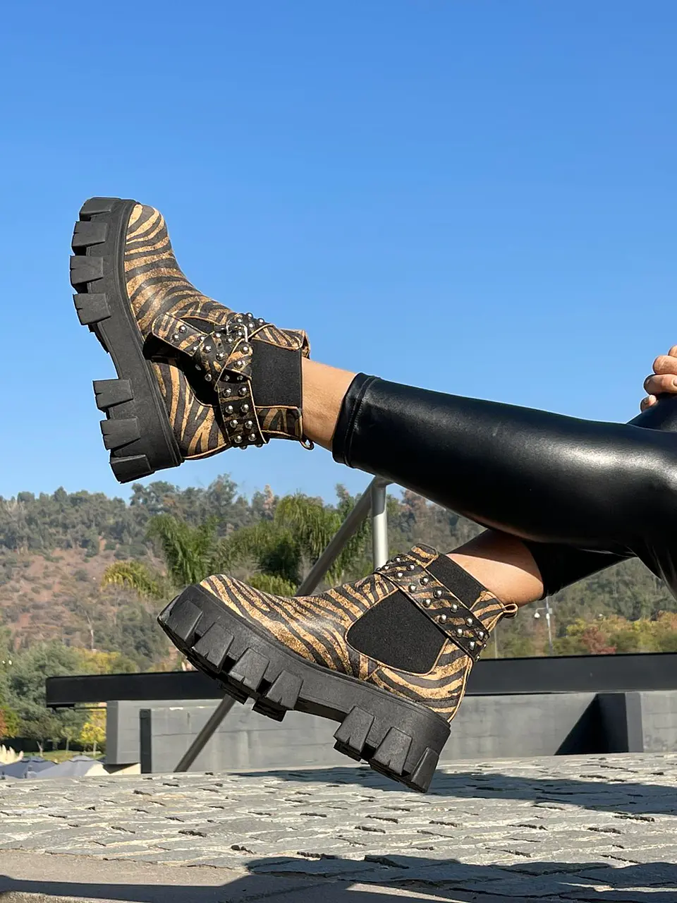 Botin Amanda Cebra Cafe 1