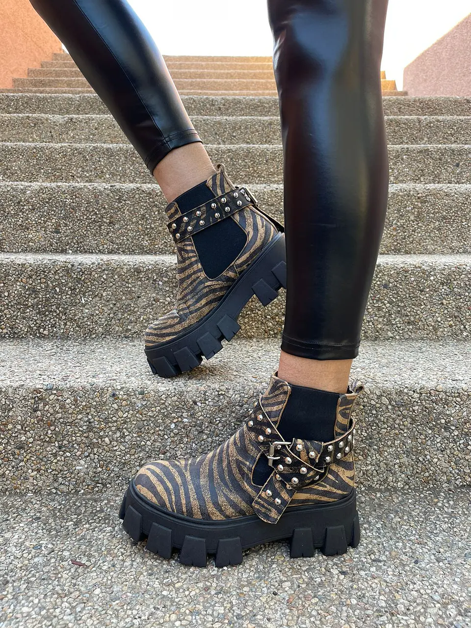 Botin Amanda Cebra Cafe 2