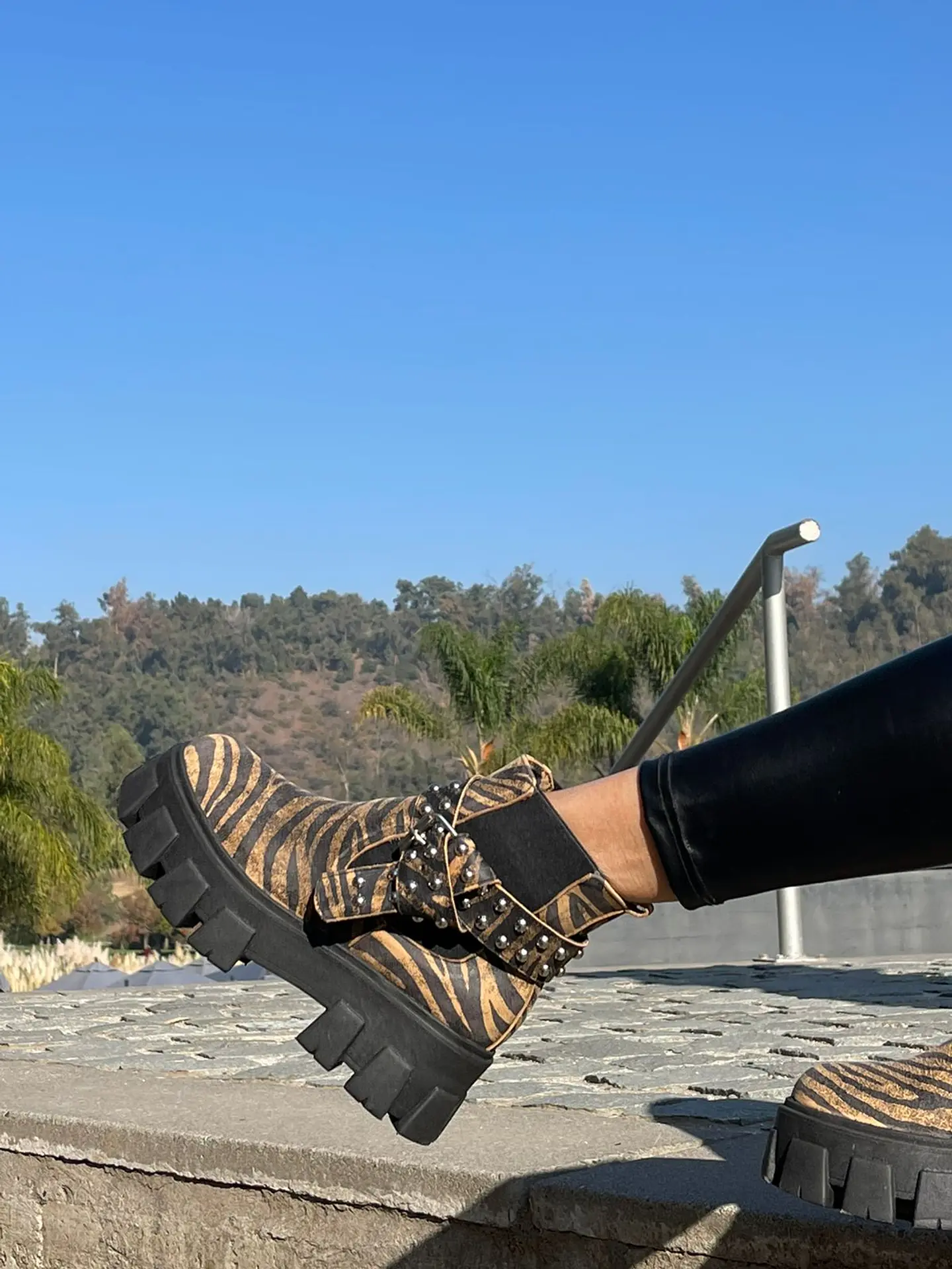 Botin Amanda Cebra Cafe 4