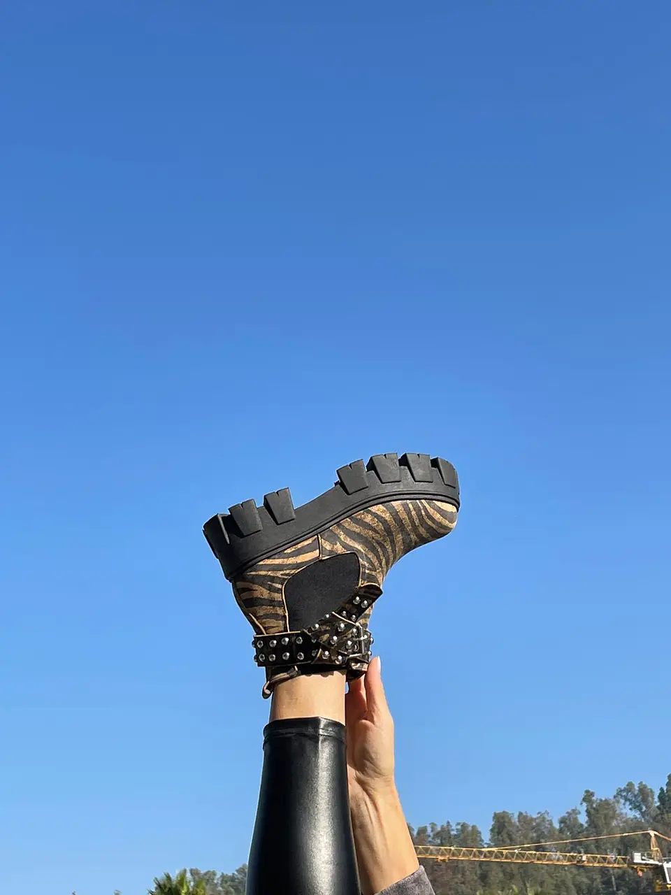 Botin Amanda Cebra Cafe 6