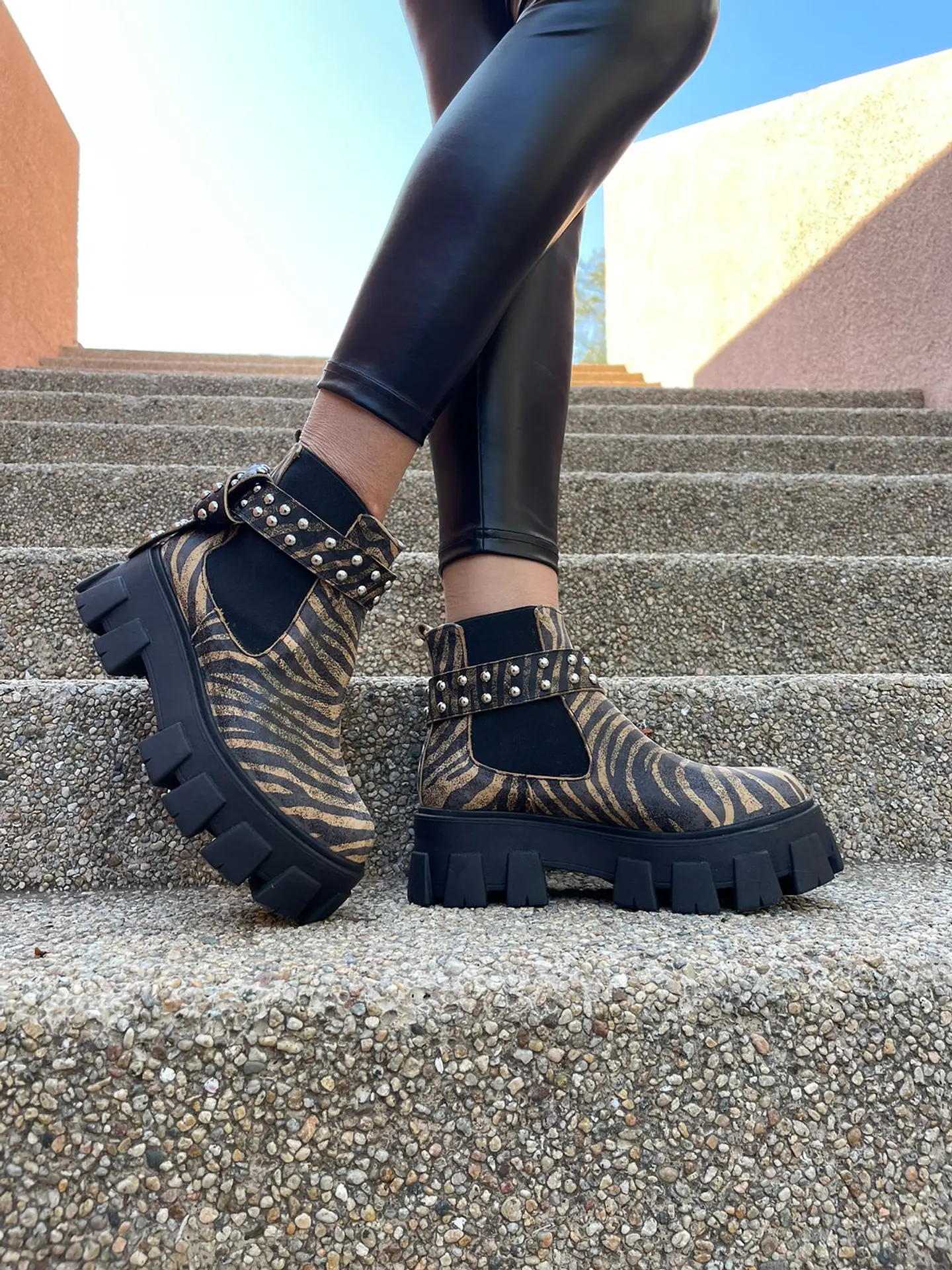 Botin Amanda Cebra Cafe 7