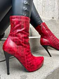 Kim Lagarto Rojo - Miniatura 2