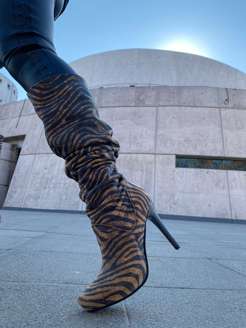 Diana Animal Print 5